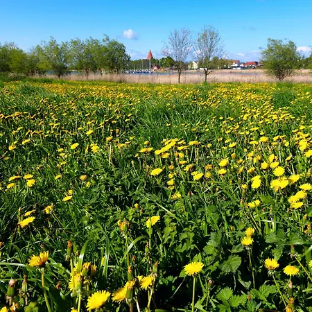 Steinfurths Huesing Sonnendeck Appartement